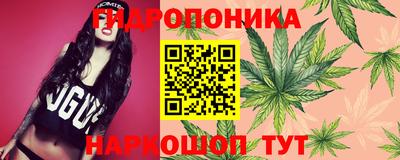 гашишное масло Гатчина