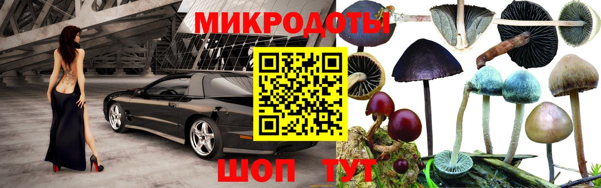 Псилоцибиновые грибы Psilocybe  закладки  Новочебоксарск  Вход с VPN 