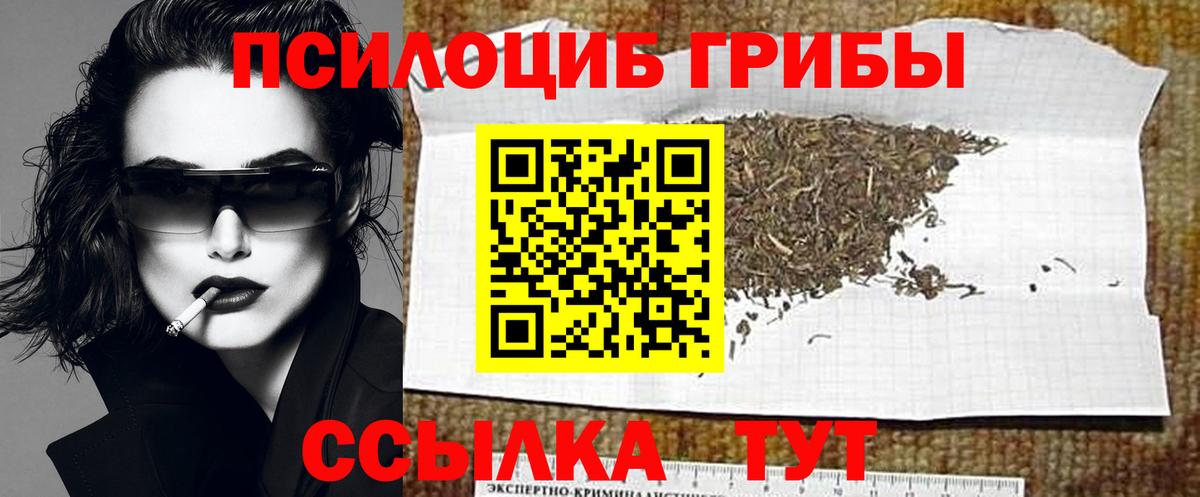 Псилоцибиновые грибы GOLDEN TEACHER Новочебоксарск